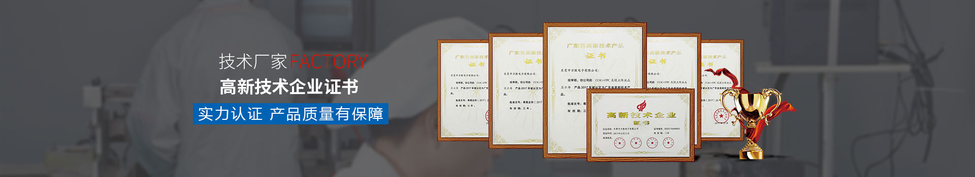 LCD液晶屏高新技术企业