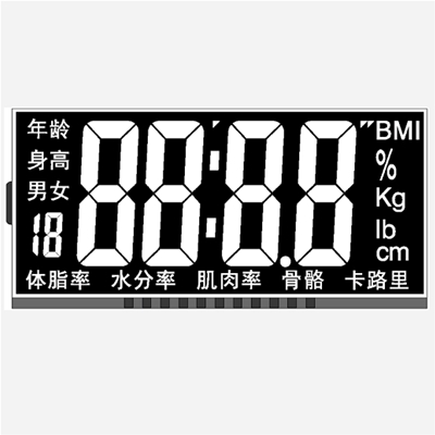 体重秤显示屏 LCD液晶屏 TN显示屏 显示屏厂家直销