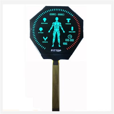 VA full transparent negative display COG LCD screen