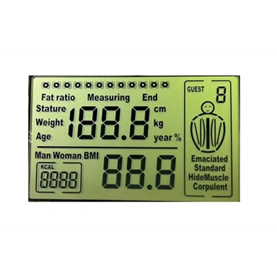 体脂称显示屏 TN液晶屏 LCD液晶显示屏 显示屏厂家直销 可定制